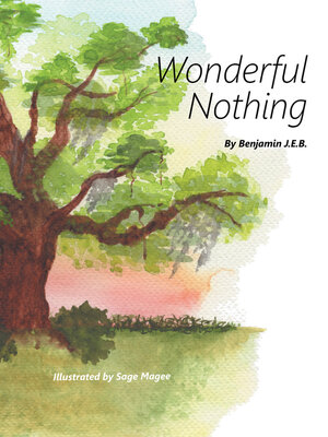 cover image of Wonderful Nothing